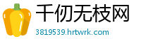 千仞无枝网
